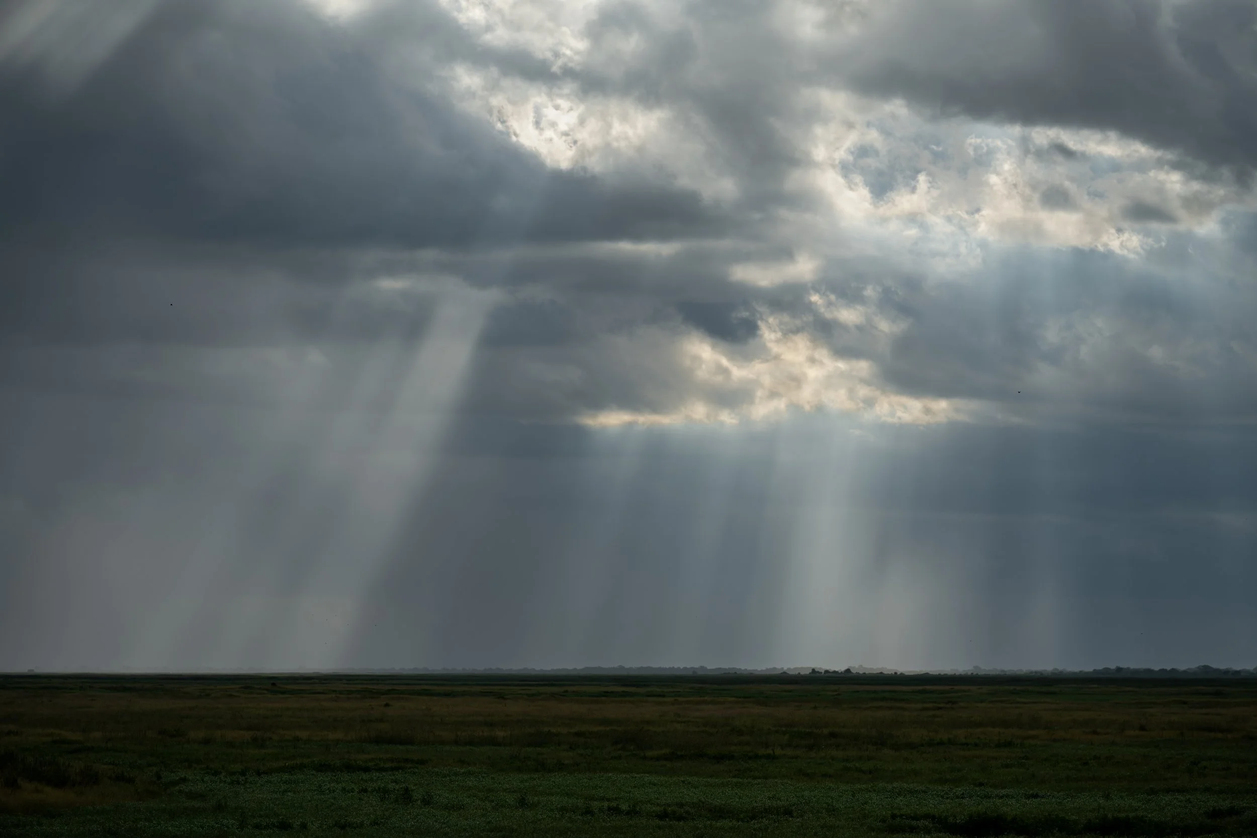 The Storm-93.jpg