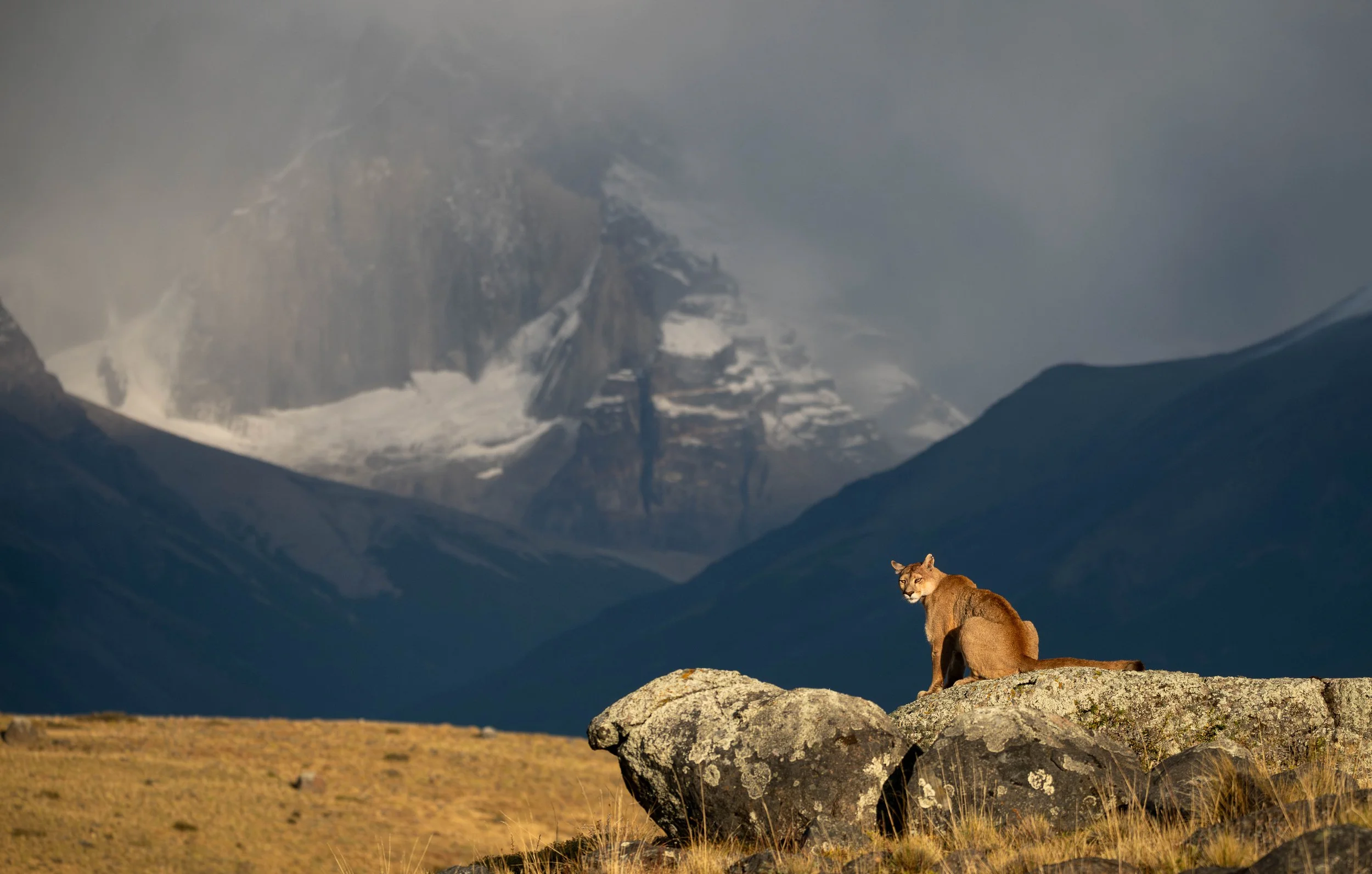 Patagonia, Torres Del Paine, Chile
