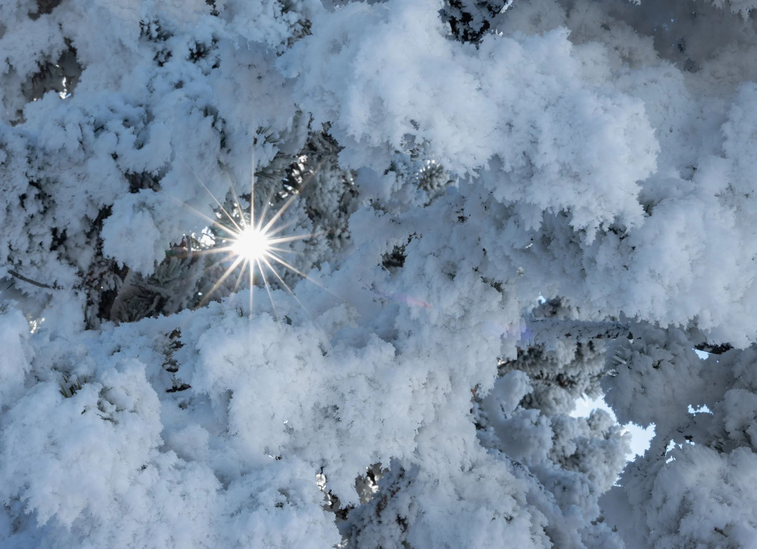 star burst-26.jpg