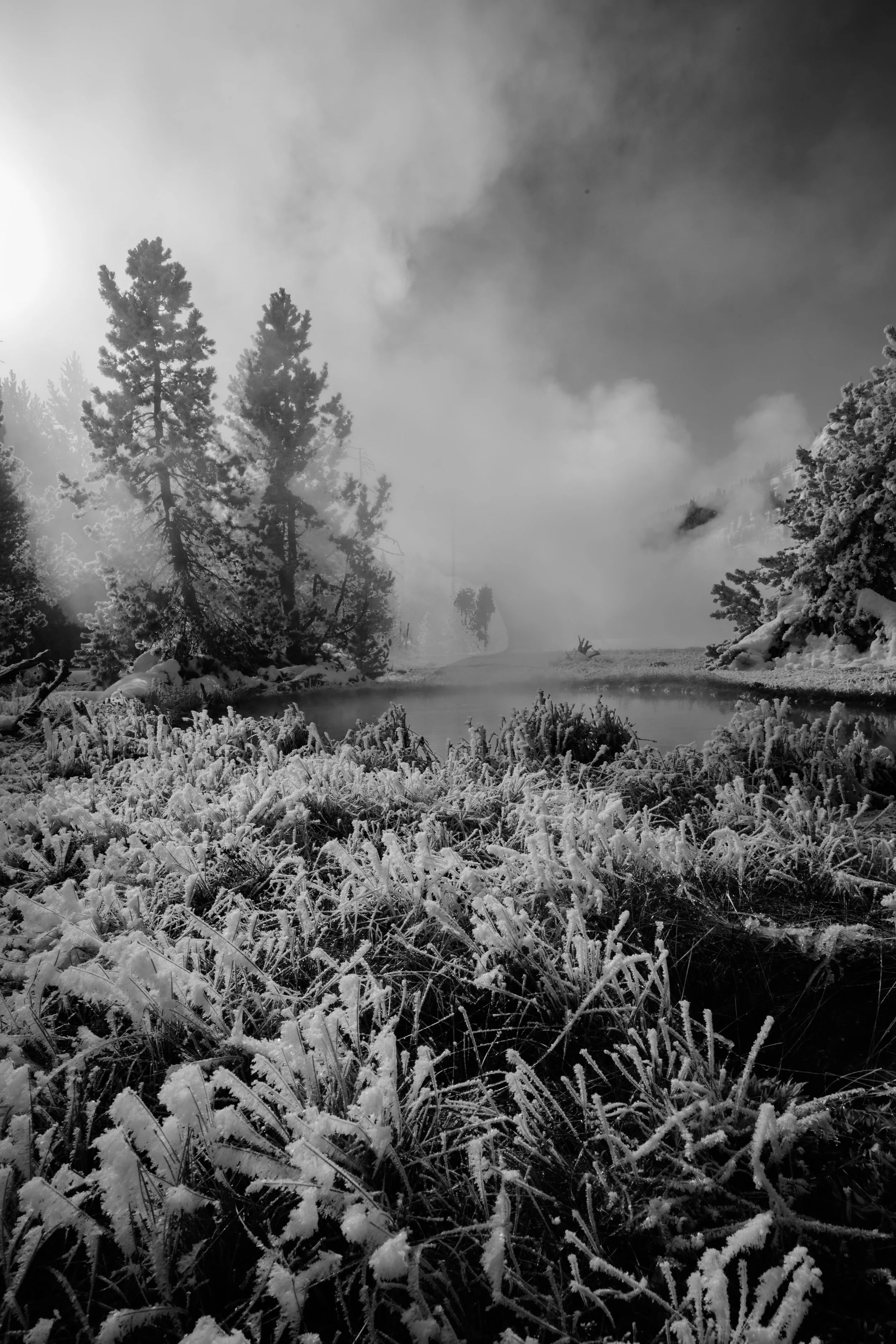 landscape-16.jpg