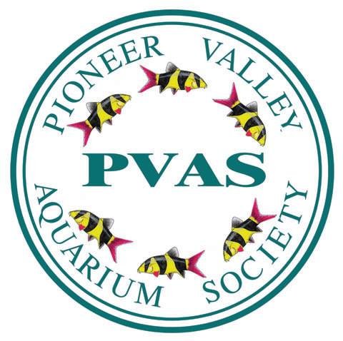 2025 PVAS Holiday Gathering