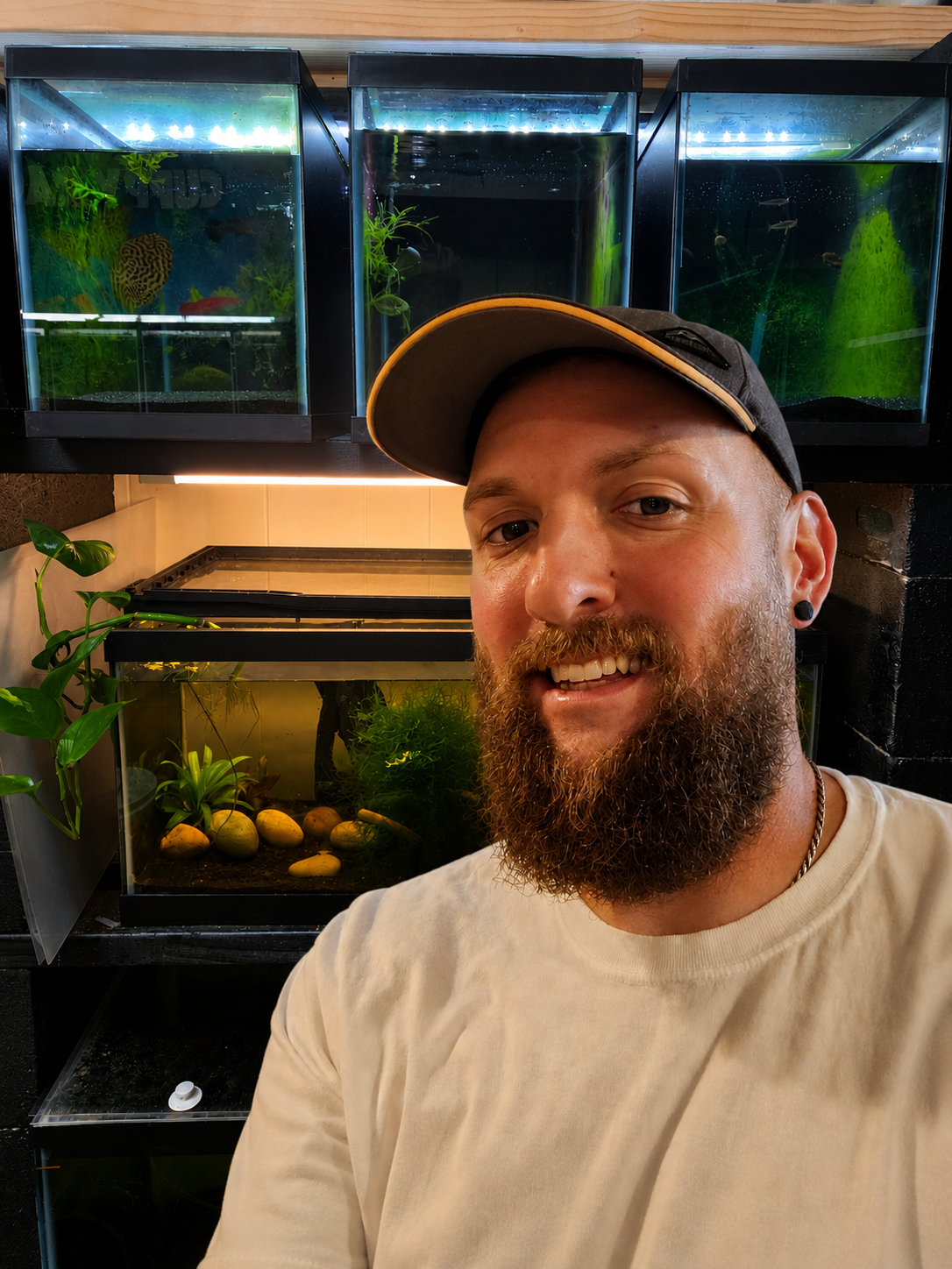 A man with gray hair, glasses, and a beard taking a selfie in a room with green walls, plants, and aquarium tanks.
