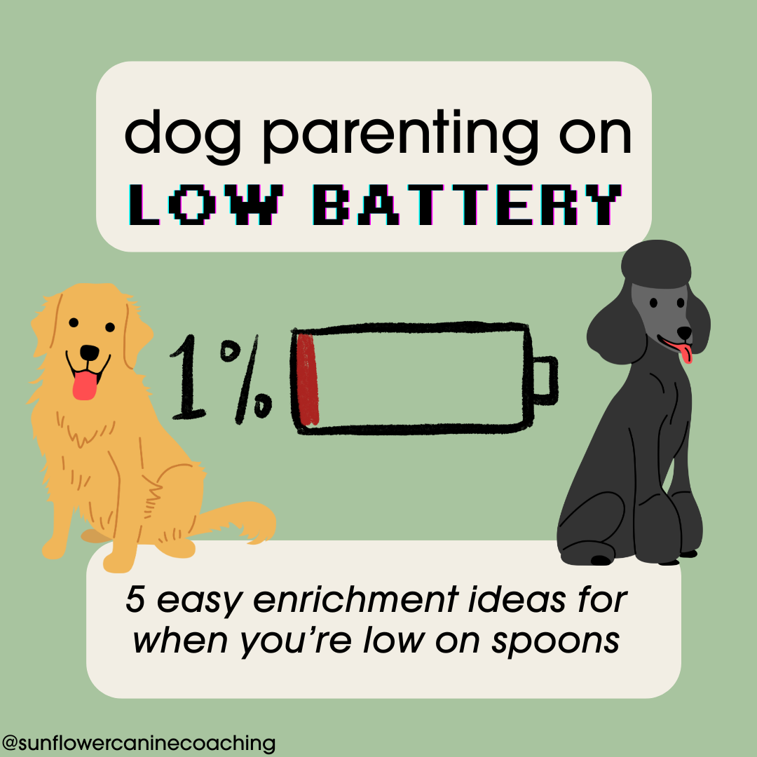 Dog Parenting on Low Battery