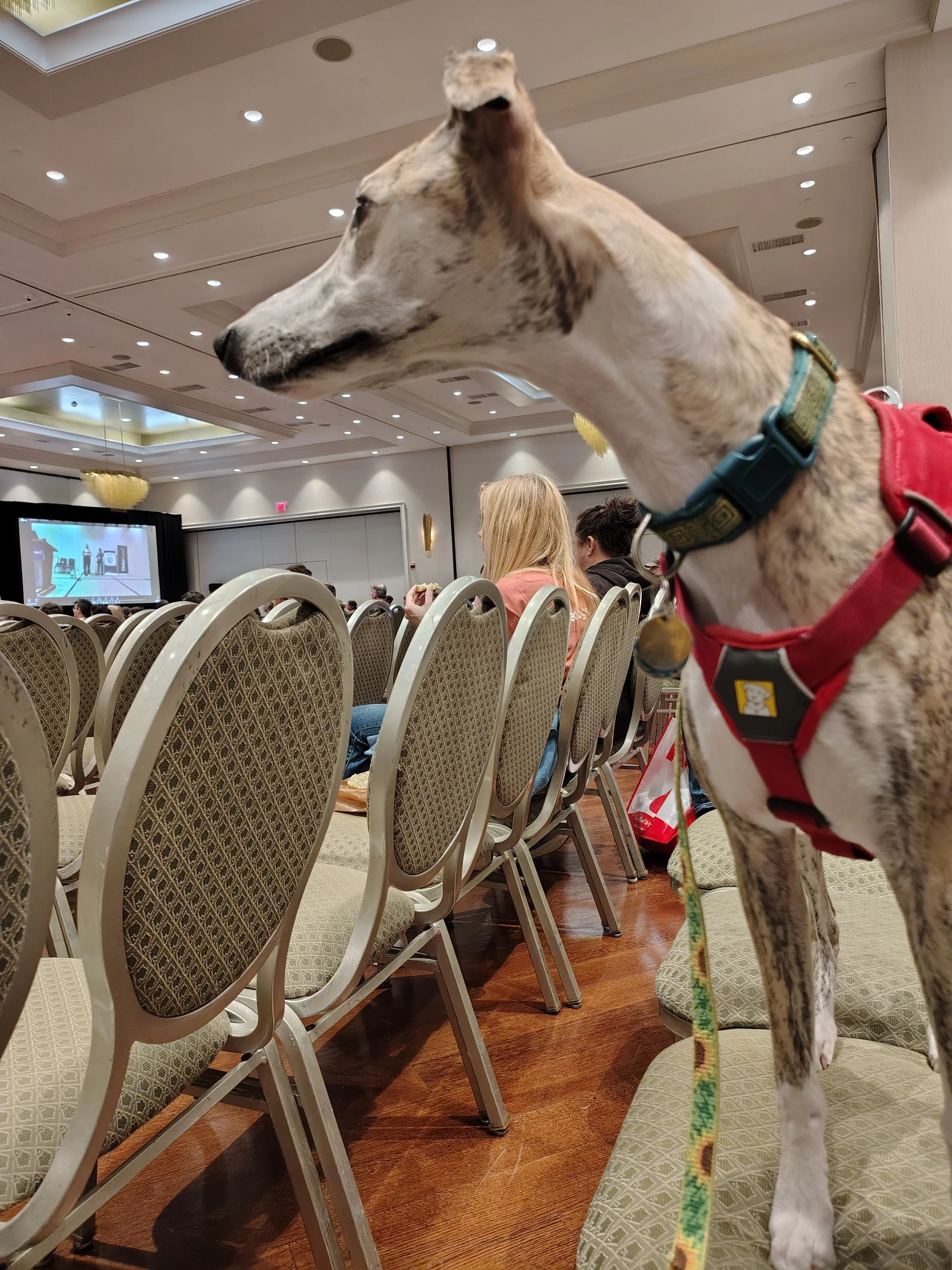 When your dog says she’s done