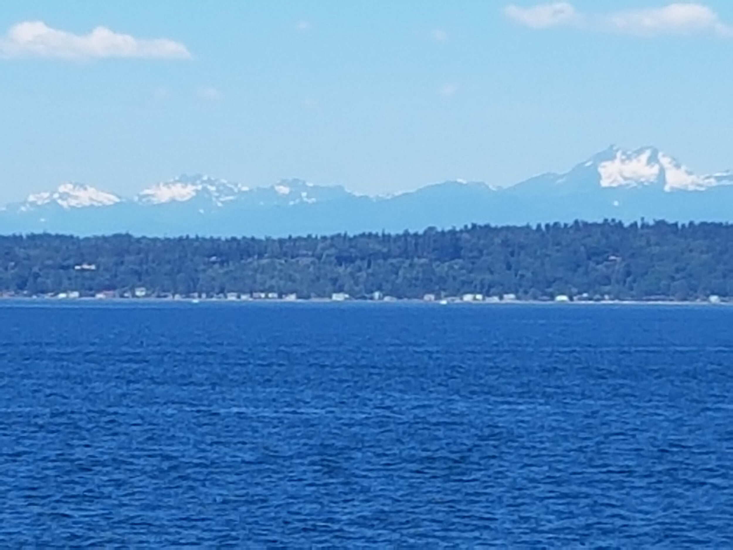 20180617_105256.jpg