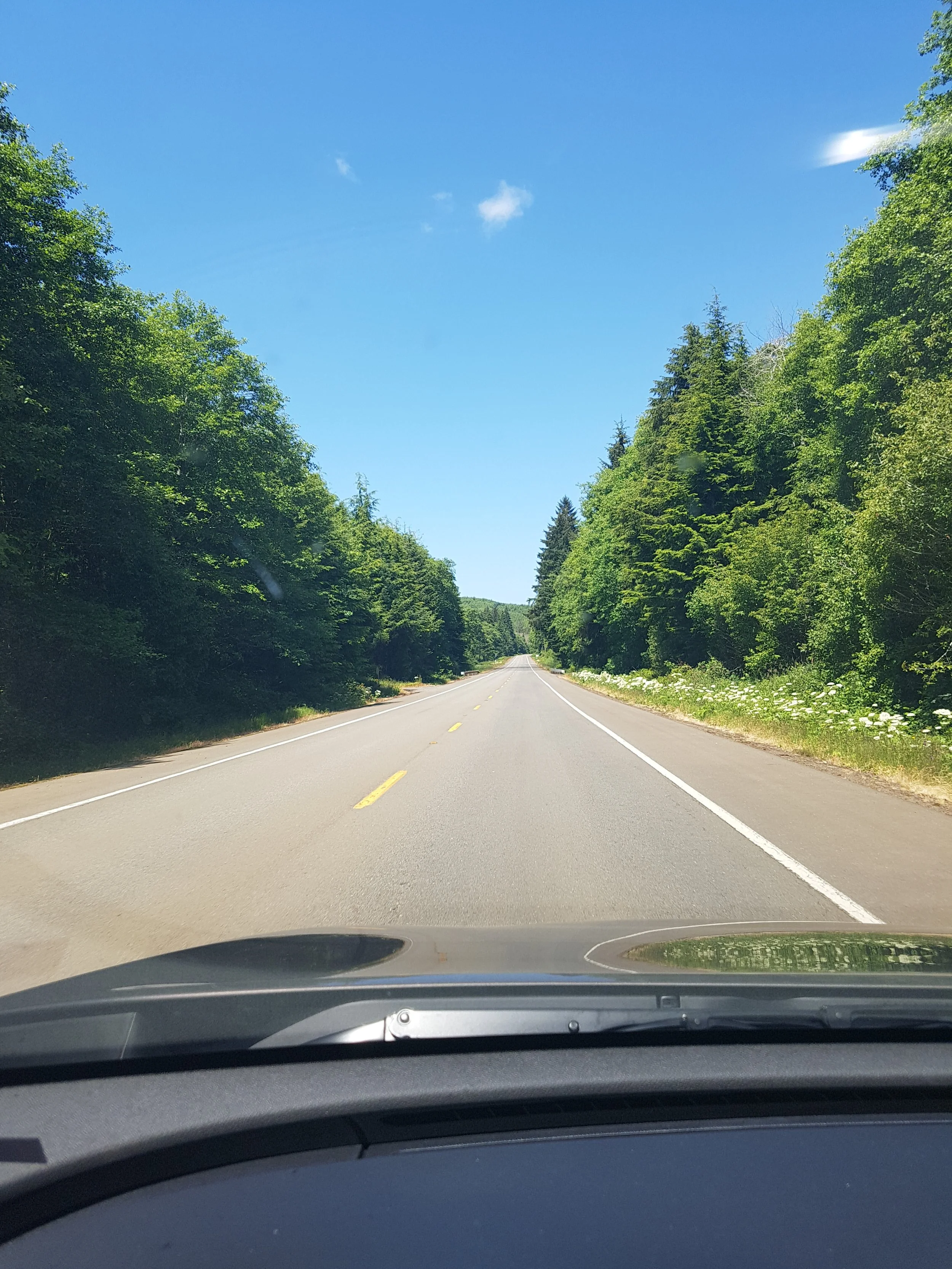 20180616_125852.jpg