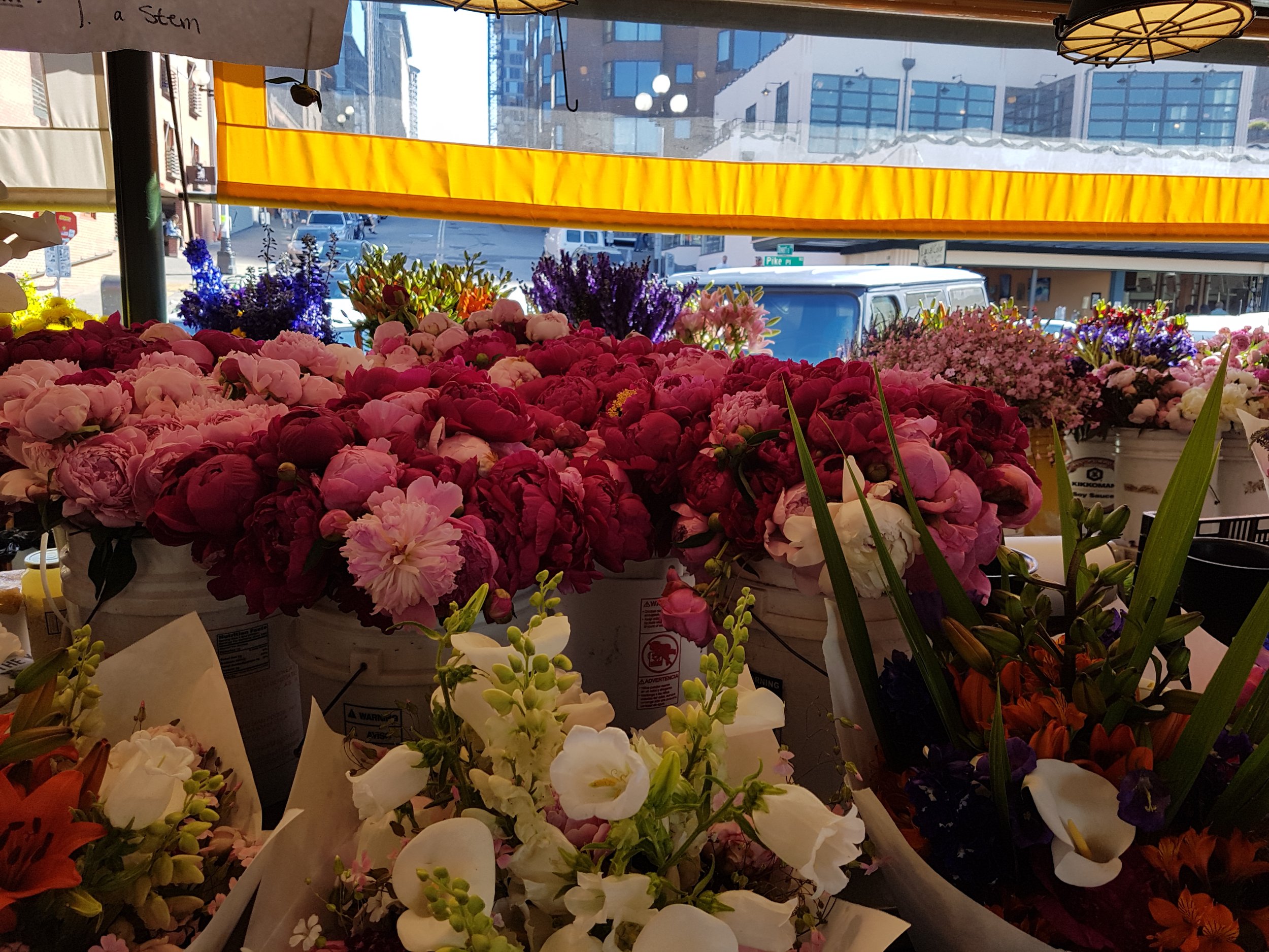 20180617_092836.jpg