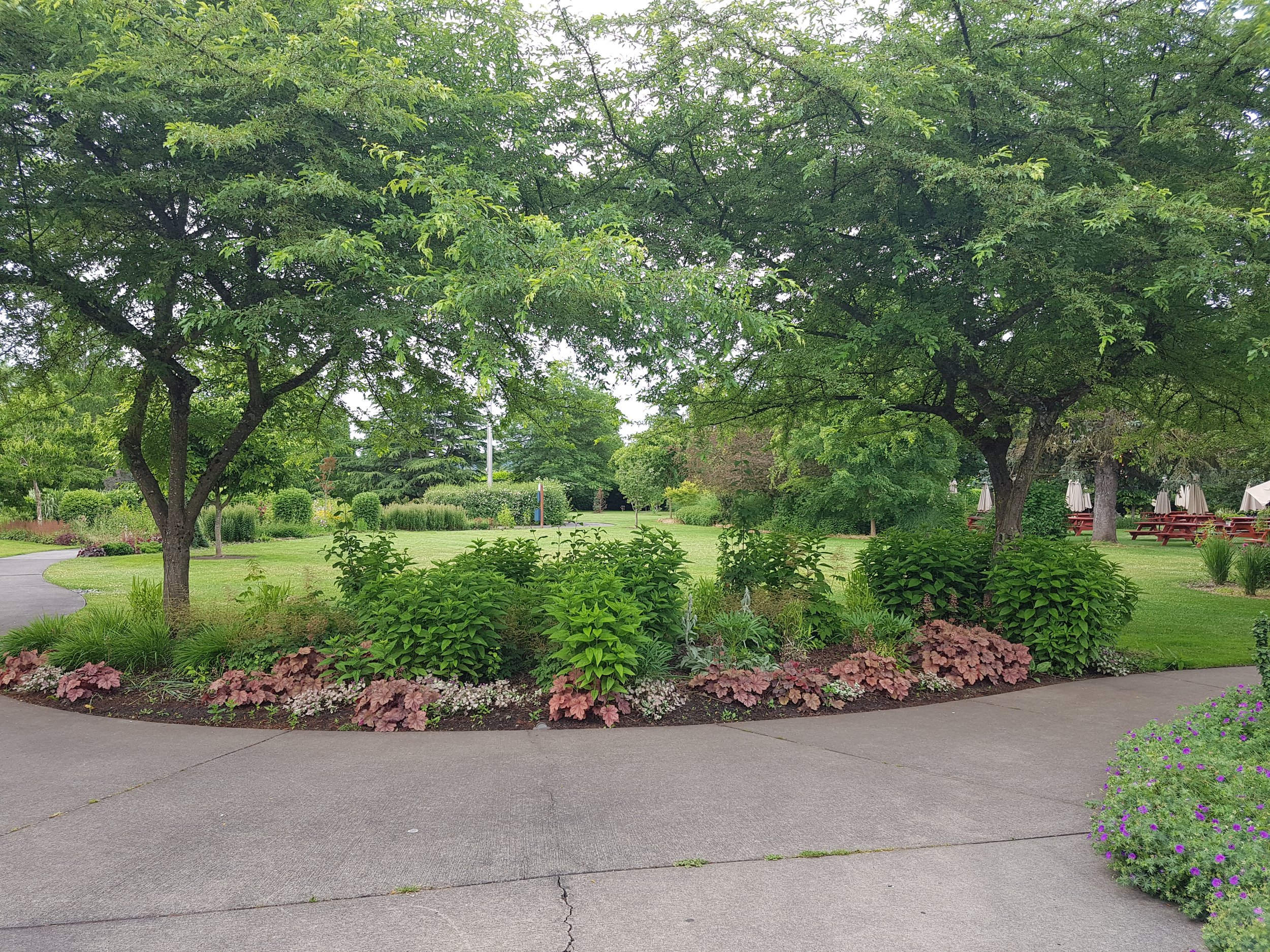 20180614_071245.jpg
