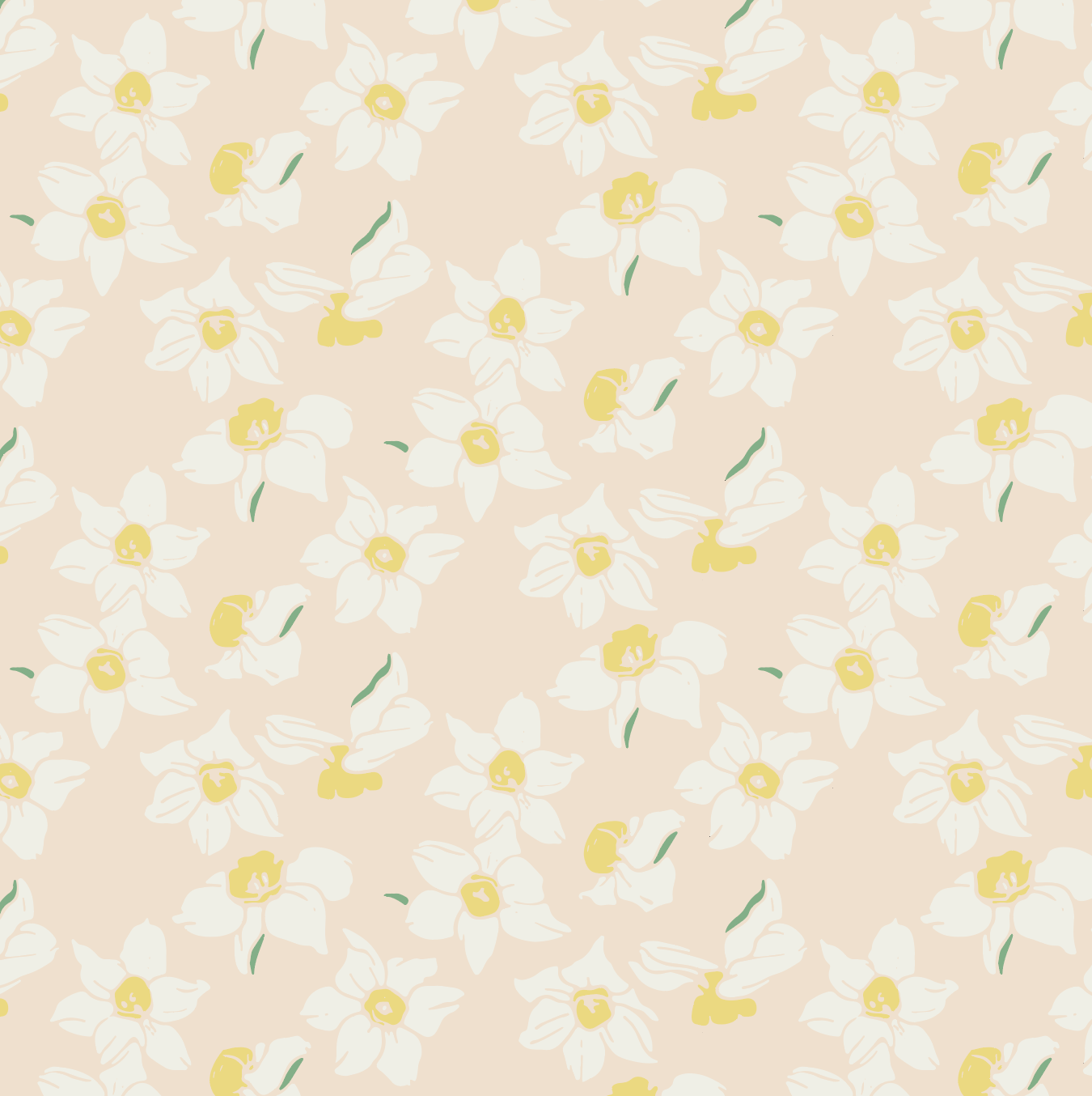 Screenshot 2026-02-19 at 11.16.54 AM.png