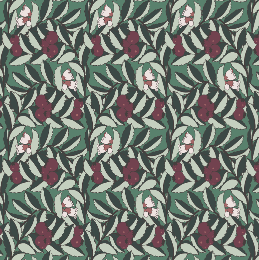 Screenshot 2026-02-19 at 11.05.37 AM.png