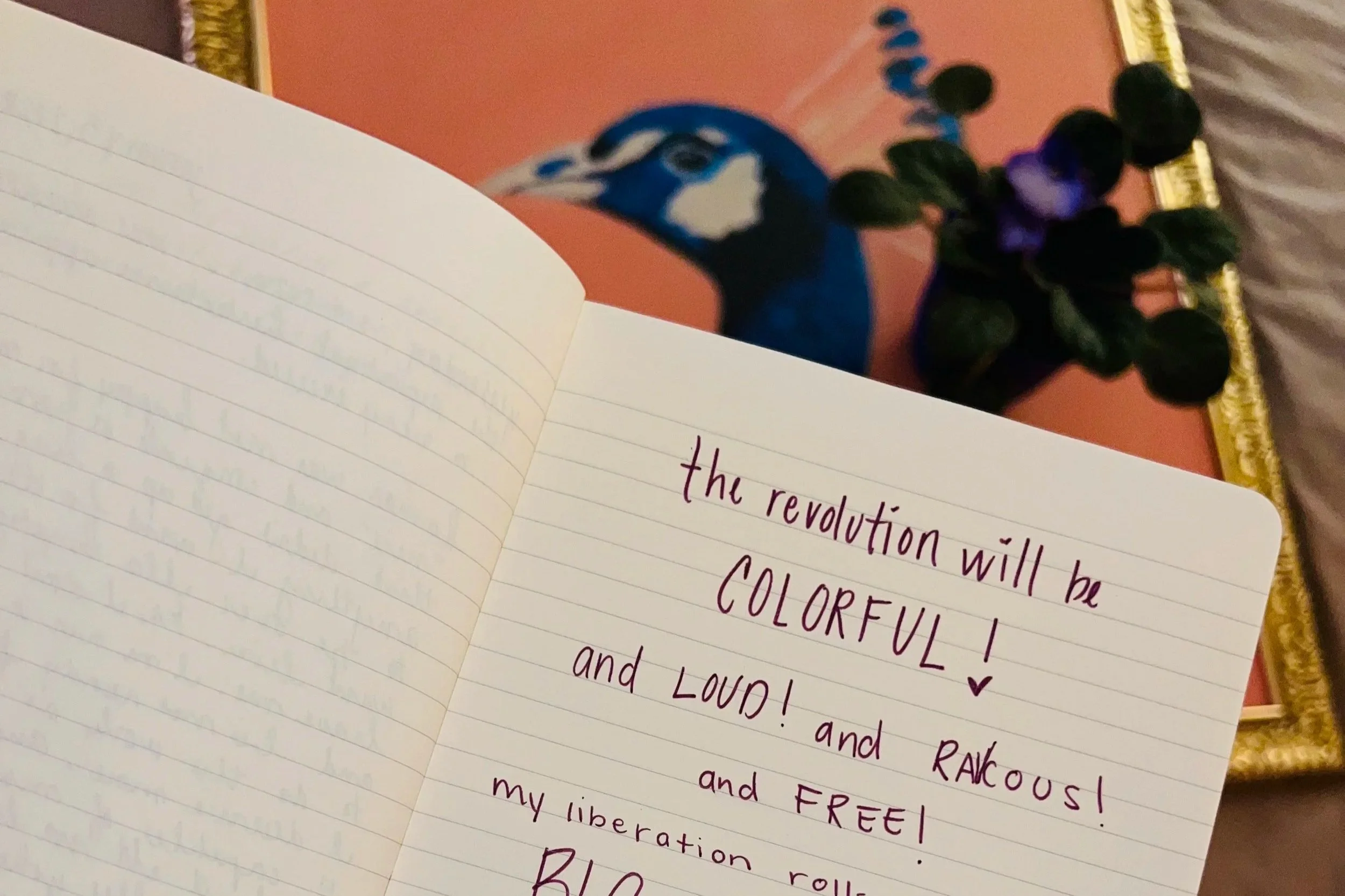 the revolution will be COLORFUL!