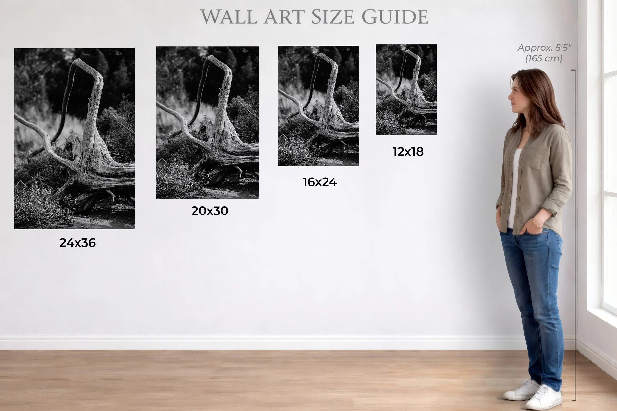 Wall Art Size Guide-driftwood.jpg