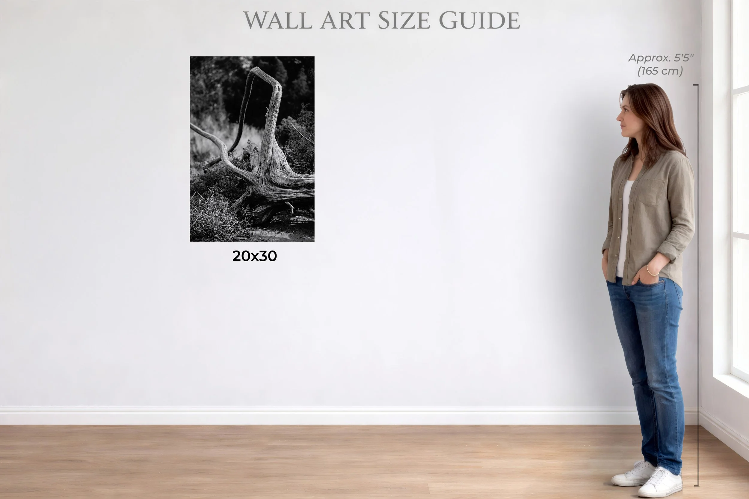 Wall Art Size Guide-driftwood.jpg