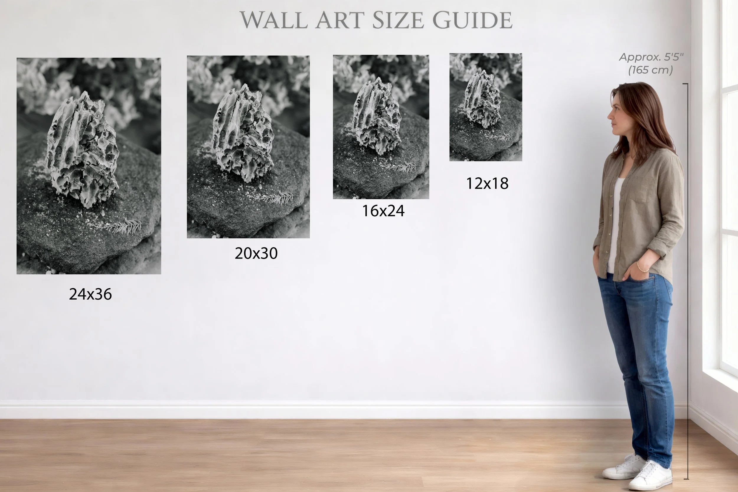 whatitbroughtwithit-sizechart.jpg