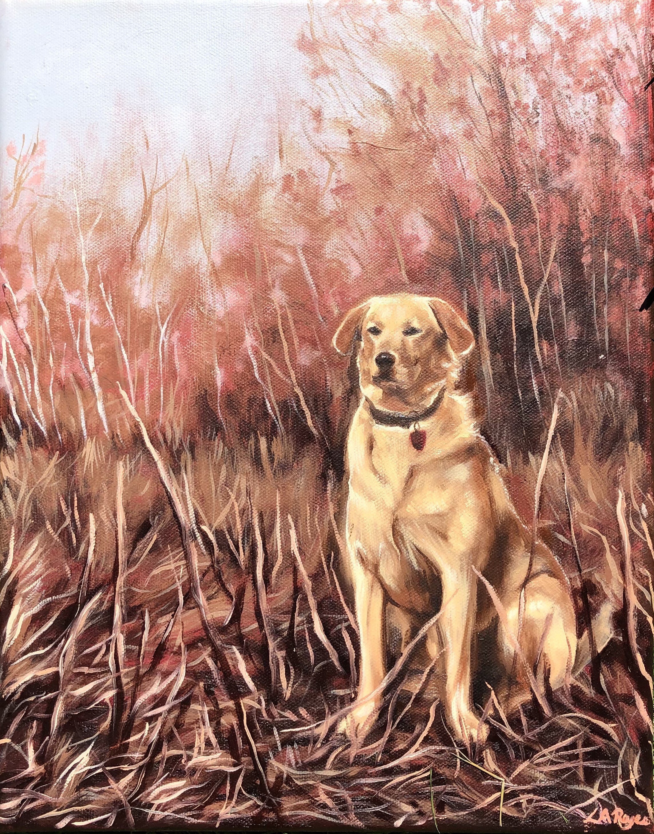 Dog_01.jpg