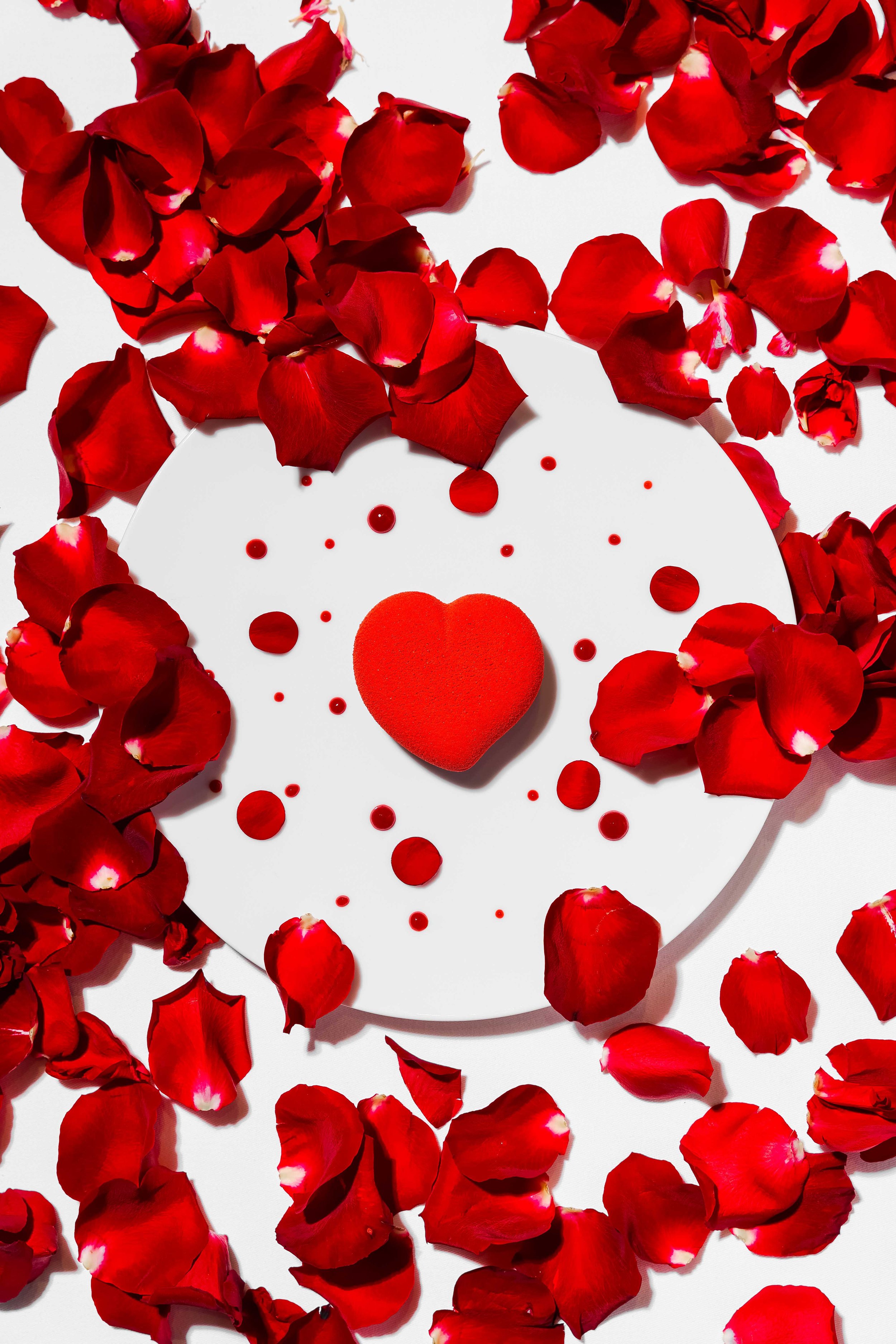 plaza_cake (37 of 46).jpg