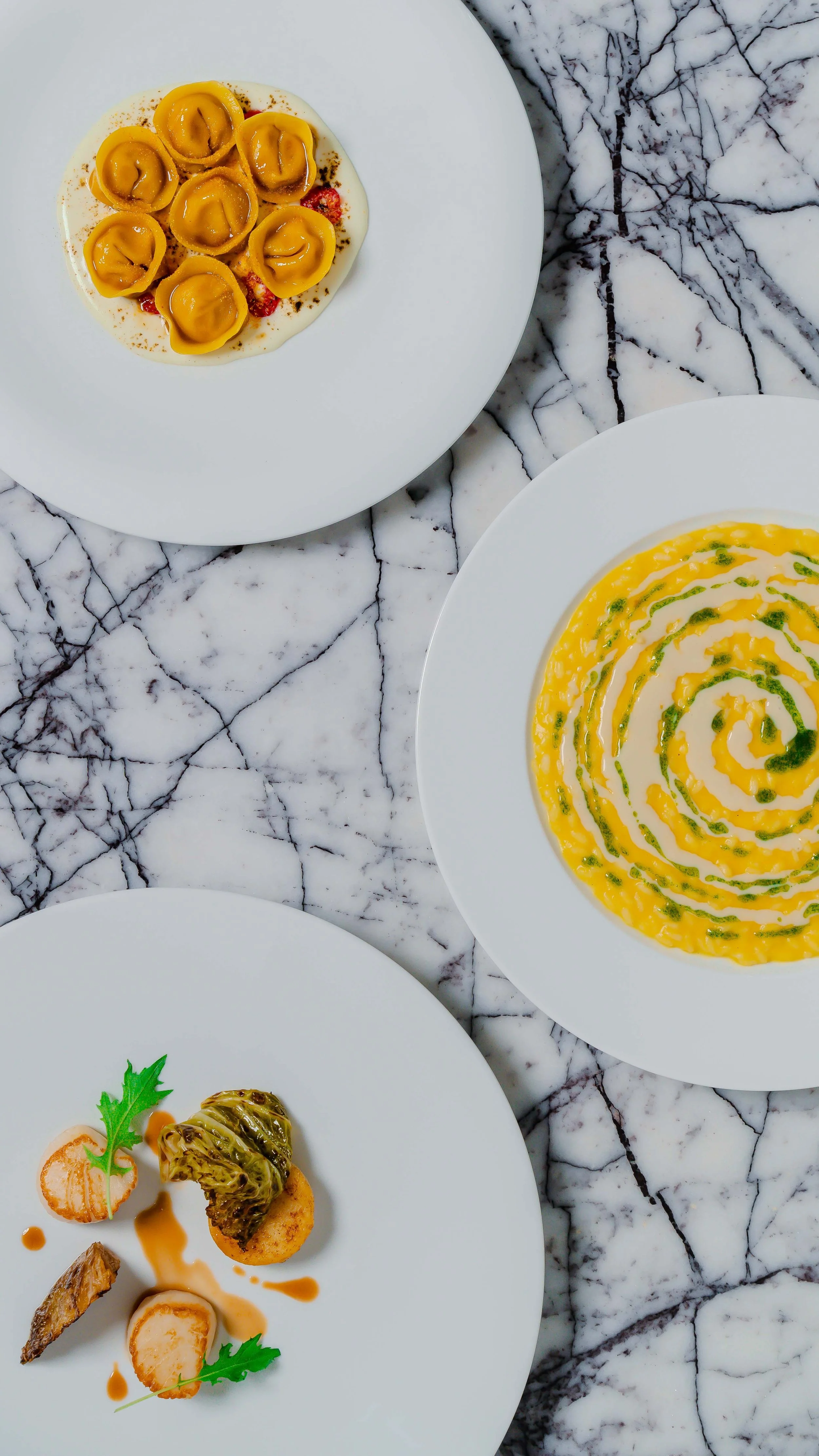 plaza_cake (22 of 46).jpg