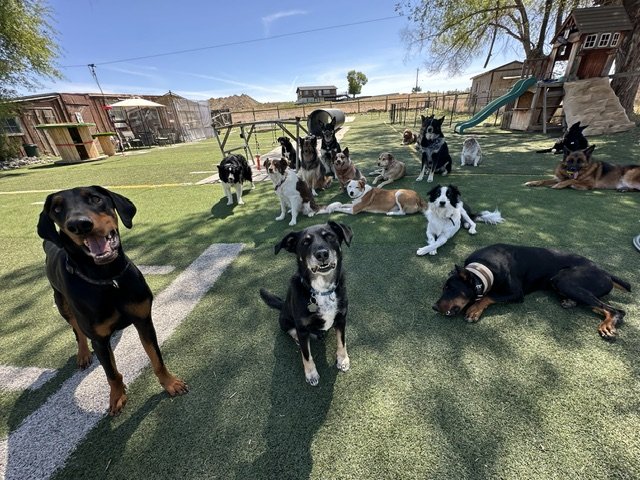 big group.jpeg