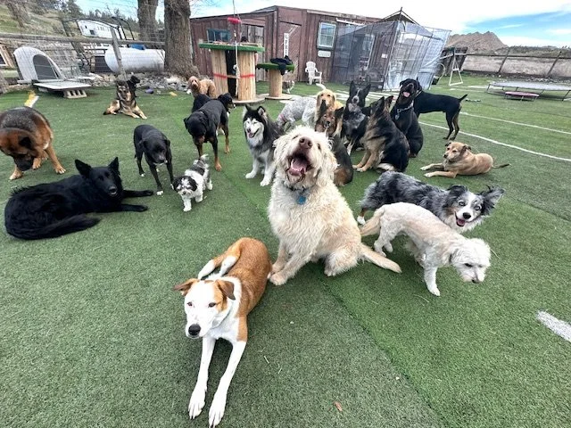 big group7.jpg