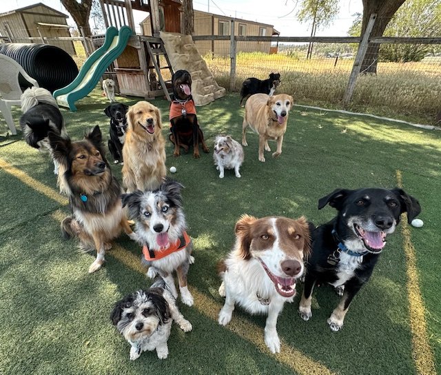 big group with sawyer.jpg
