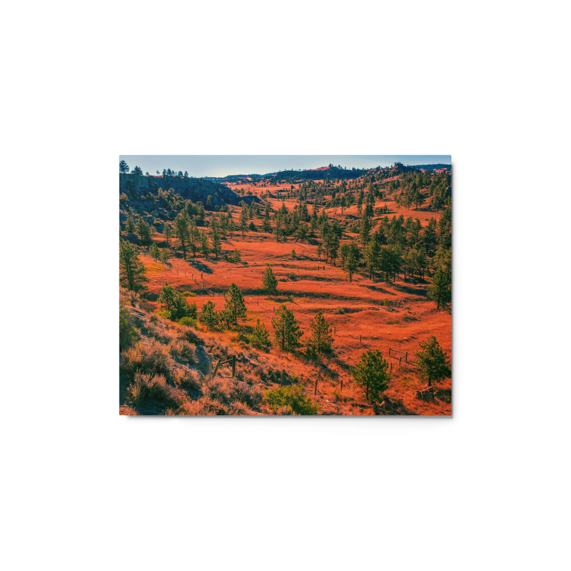 glossy-metal-print-(in)-white-11x14-front-682373465d773.jpg