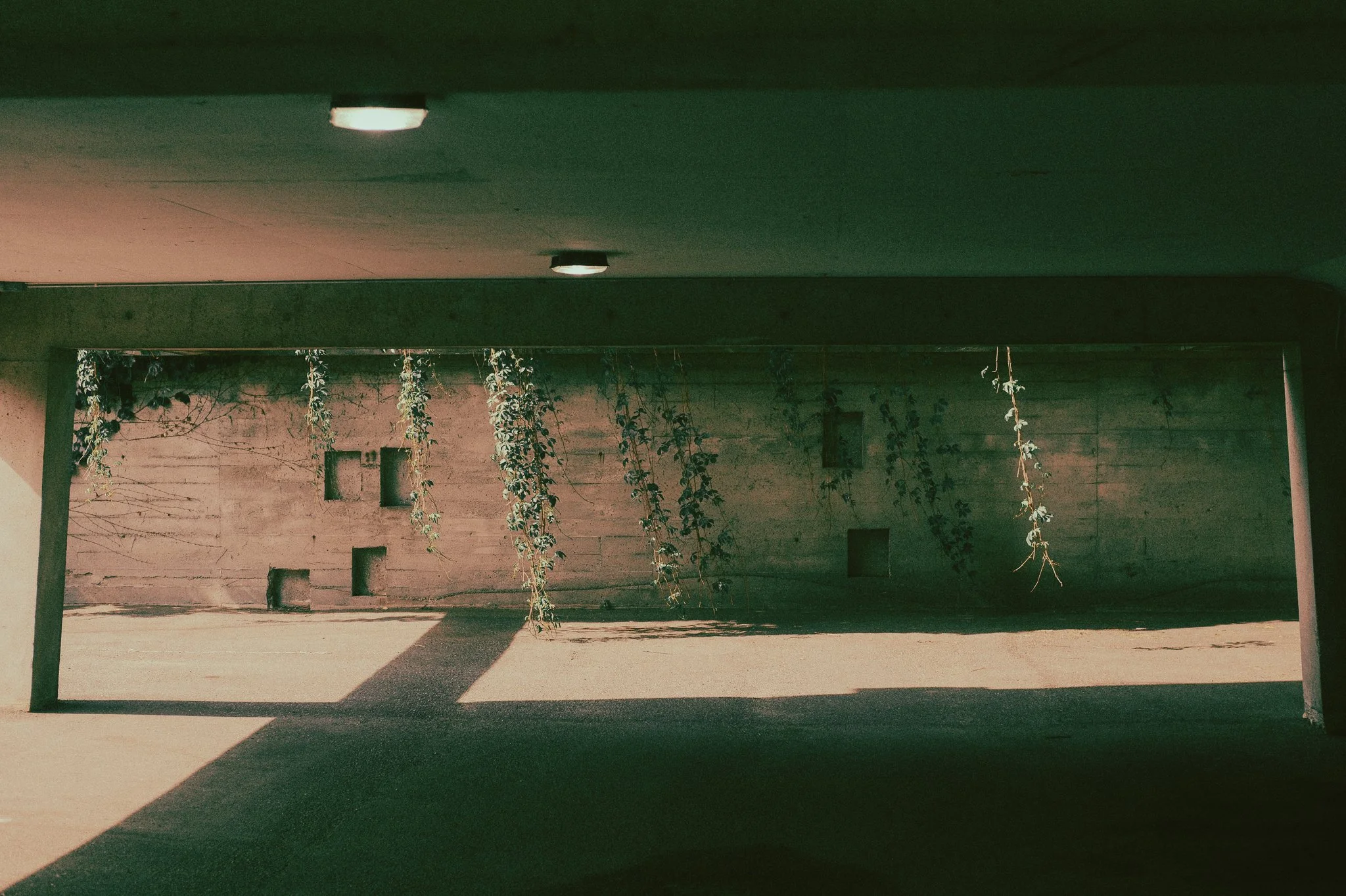 35mm2-4-2.jpg