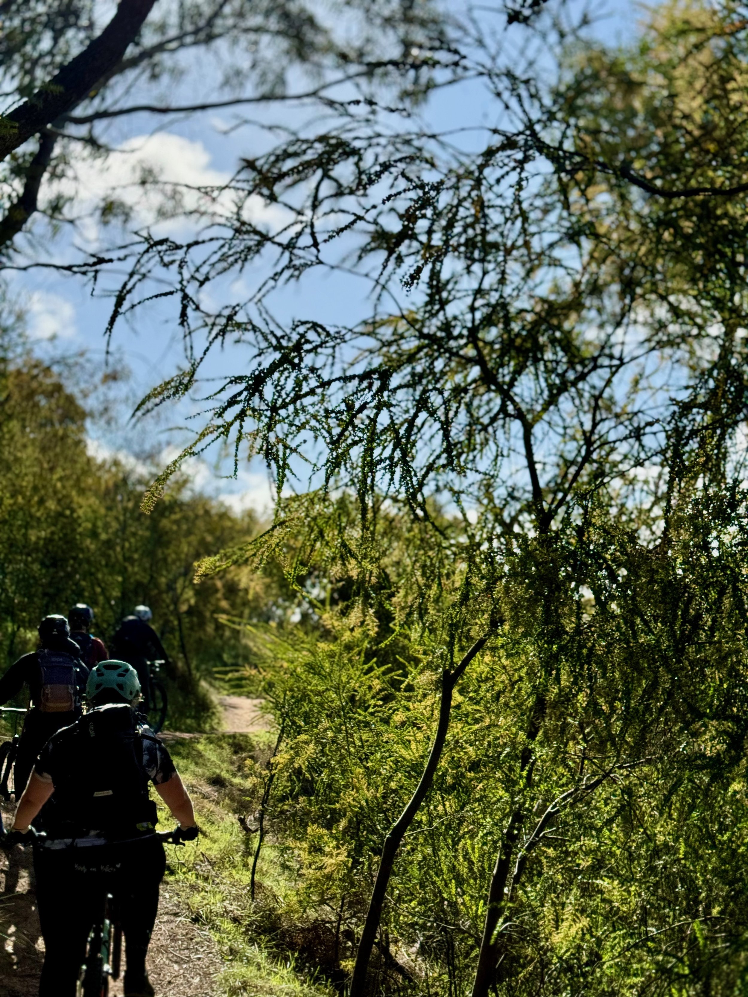 Women, competition and conflict: a recipe for sisterhood?