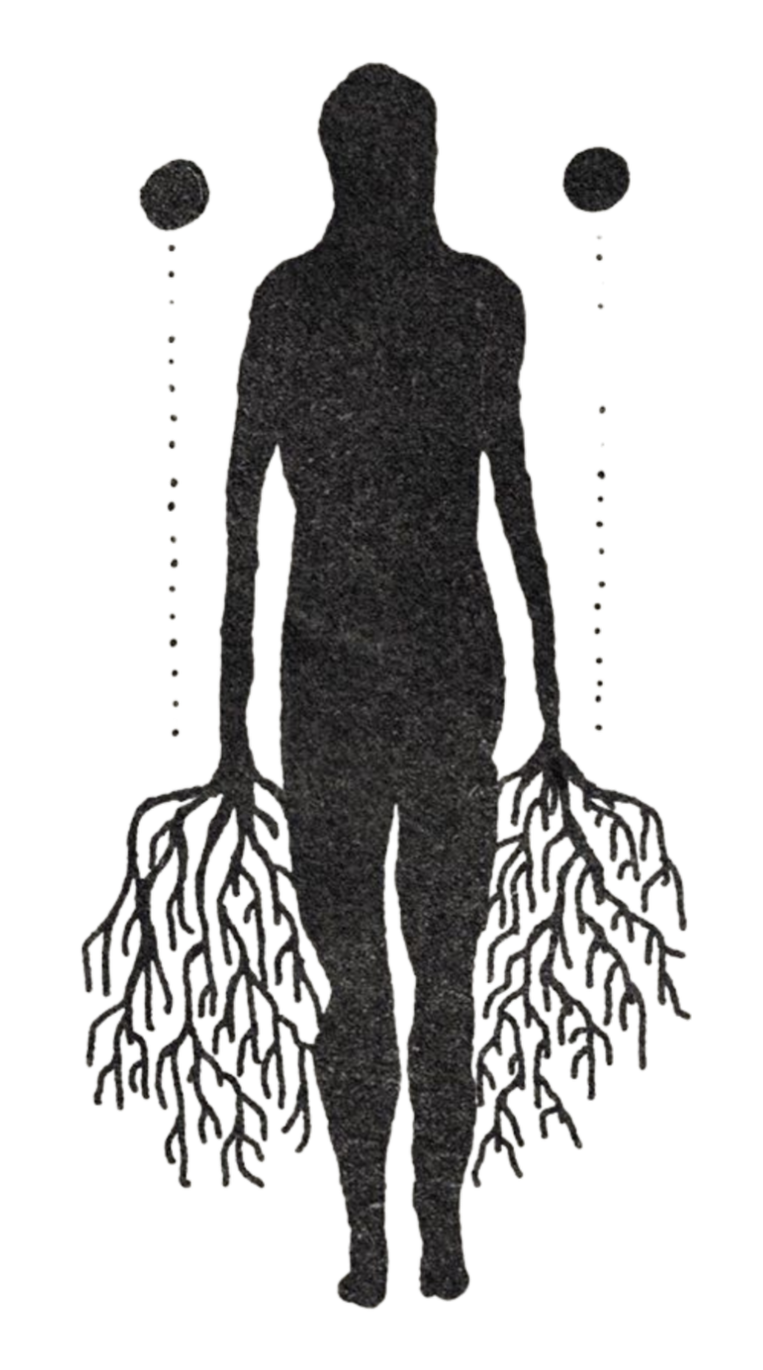 Silhouette of a human figure with simplified skeletal and vascular system, showing the brain, lungs, and major arteries extending from the head to the lower limbs.