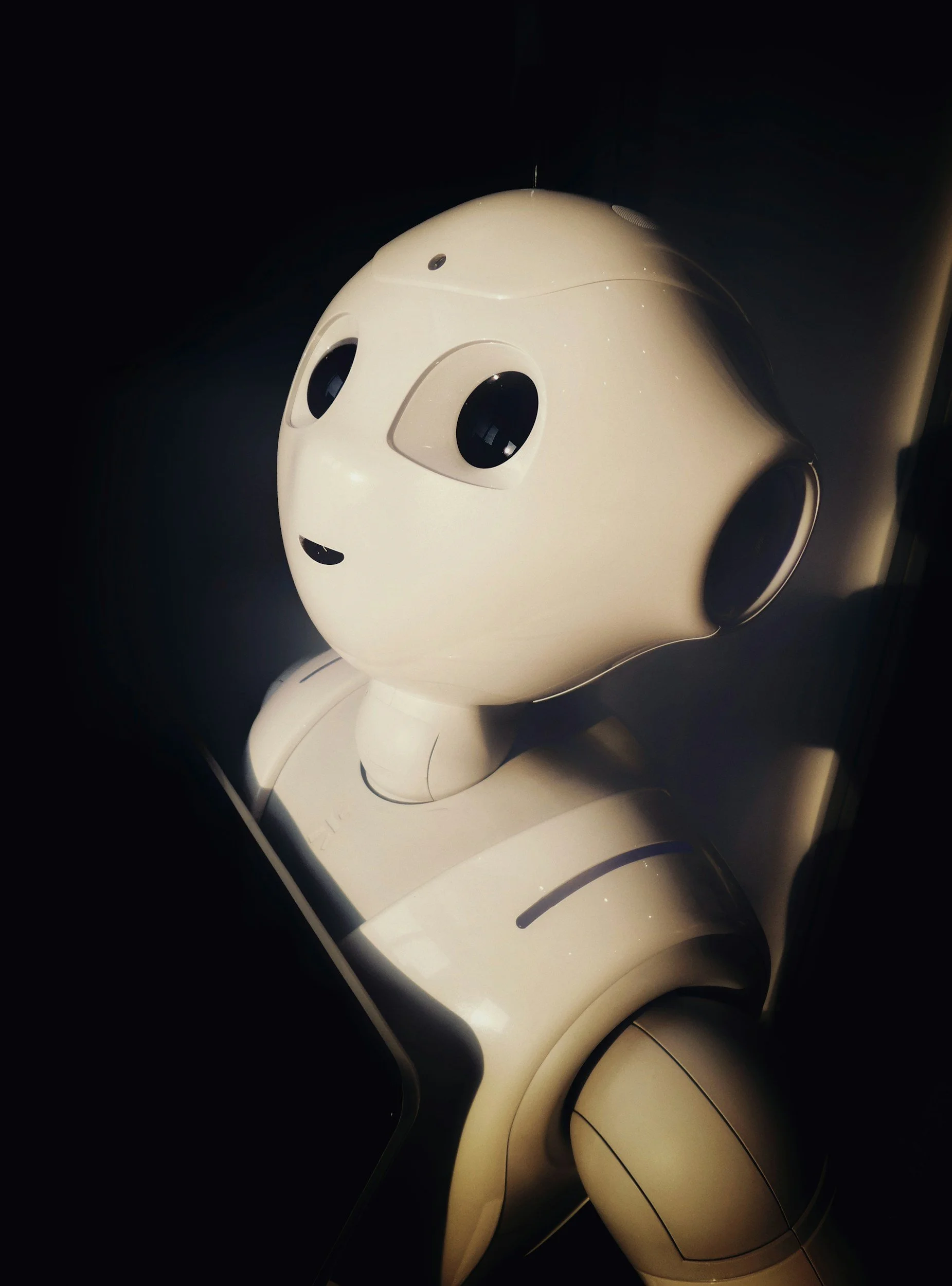 Murgatroyd and the AI