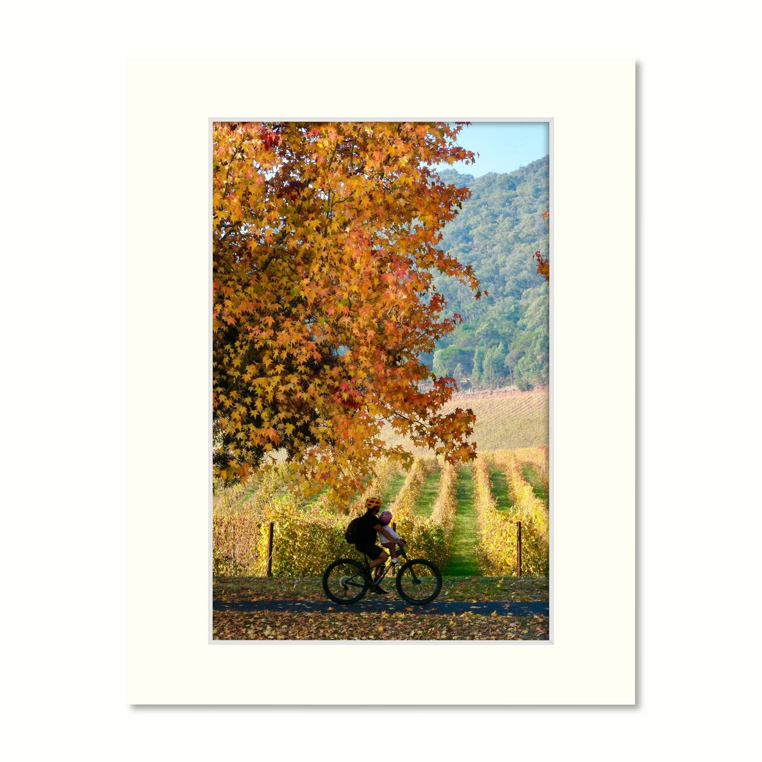 Riding by the Vineyard – Ready to Frame Print