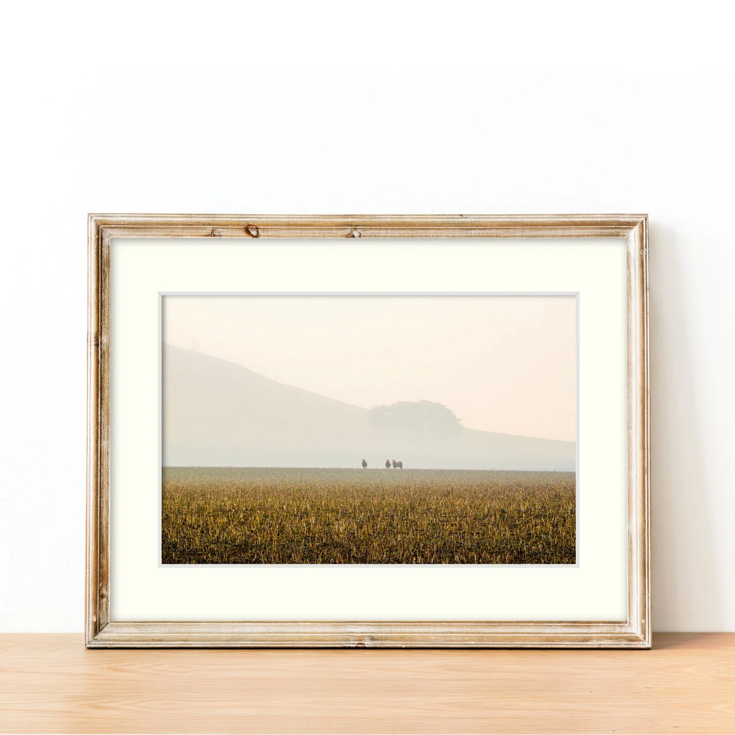 Frame mount with the Through the Haze print, horizontal perspective in finalised picture frame sitting on sideboard.
