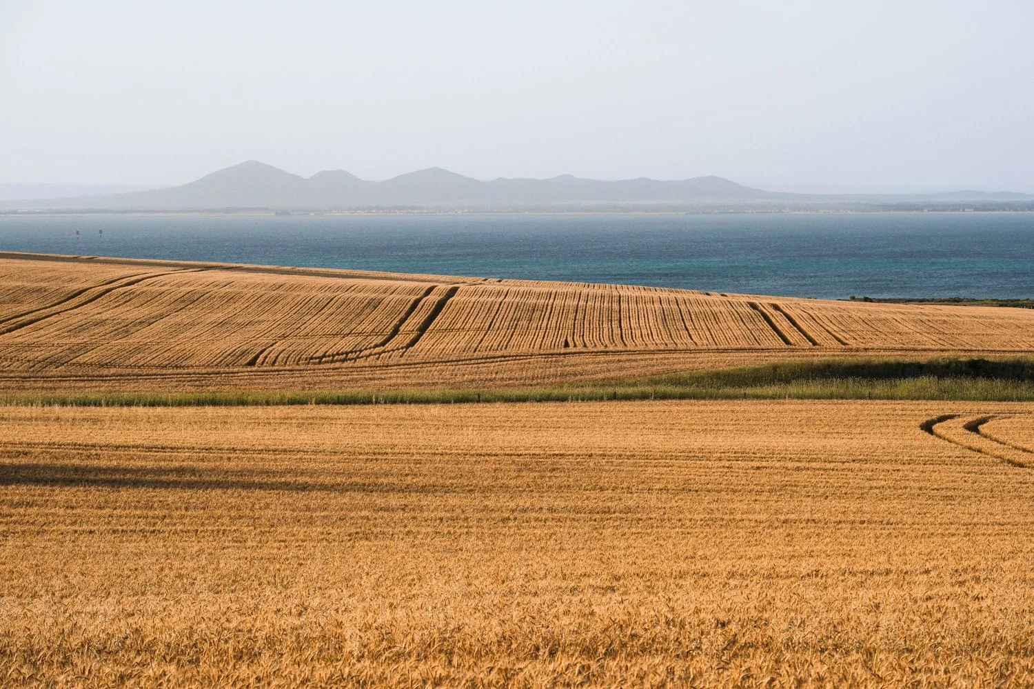Bellarine Peninsula, Victoria