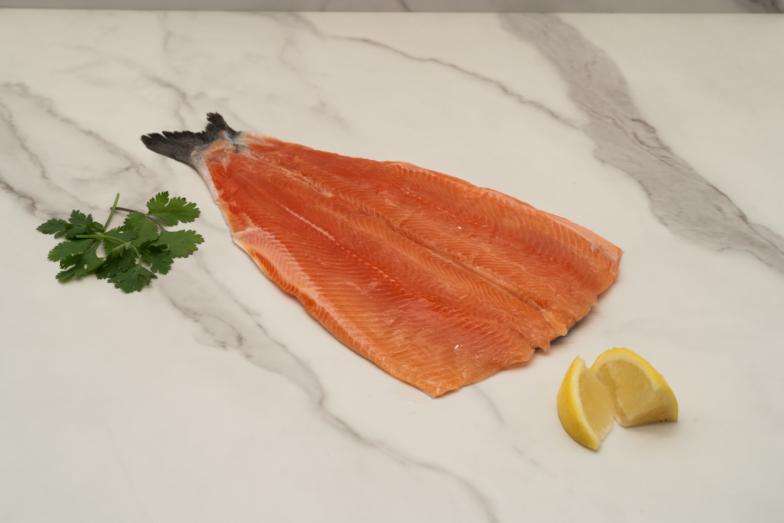 Rainbow Trout.jpeg