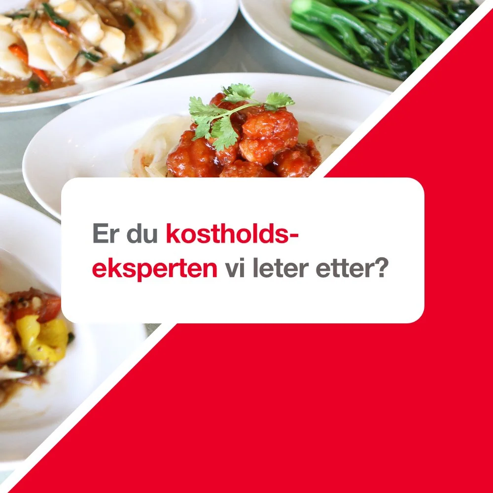 BNI Synergi søker kosthold 2.jpg