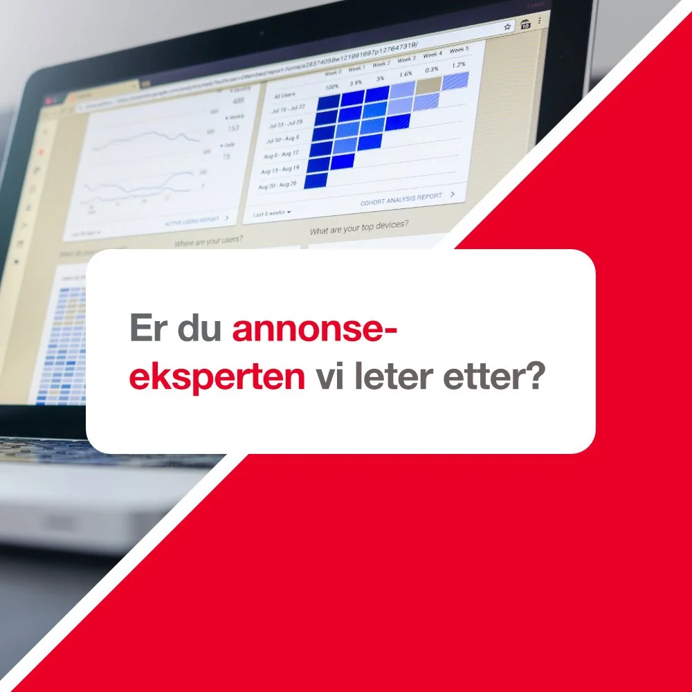 BNI Synergi søker annonser 2.jpg