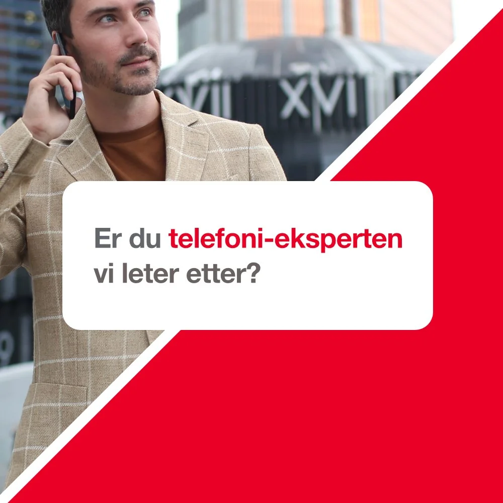 BNI Synergi søker telefoni 2.jpg