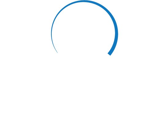 Cosmo K9 Obedience