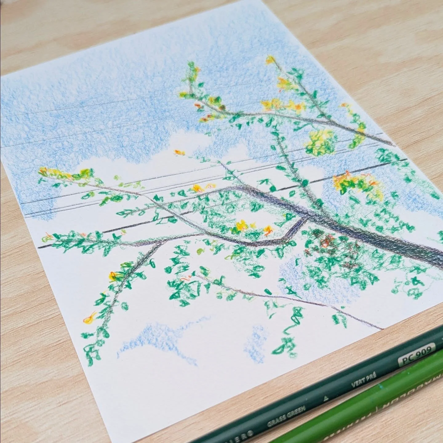 #sketchtober 3 of 31

TIL: I don't ever use colored pencils lol

#art #sketch #drawing #coloredpencils