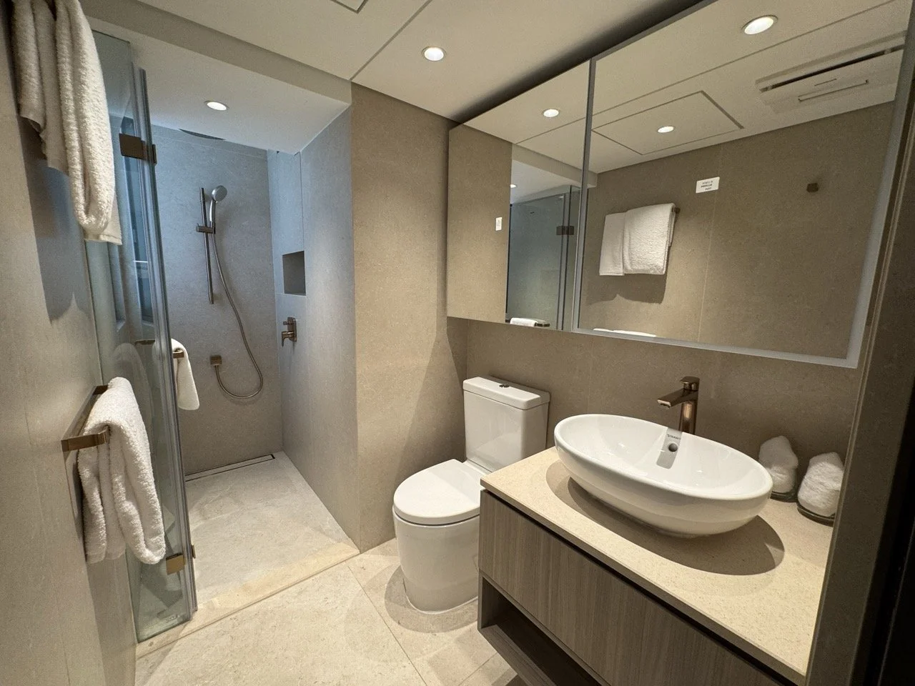 The Bauhinia - 2.jpeg