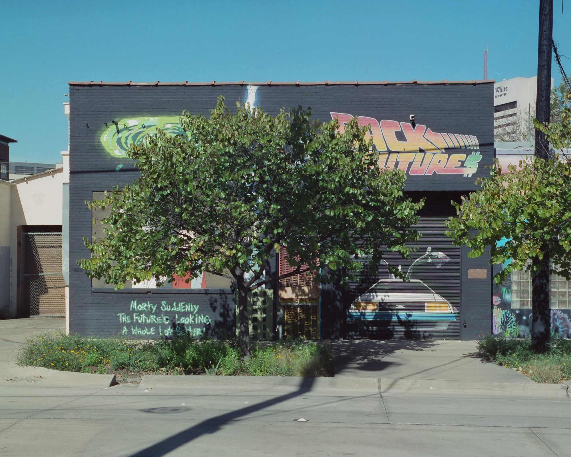 A building painted with vibrant graffiti art including a car and the words 'Back to Future,' with a tree in front and a patch of greenery at the base, under a blue sky.