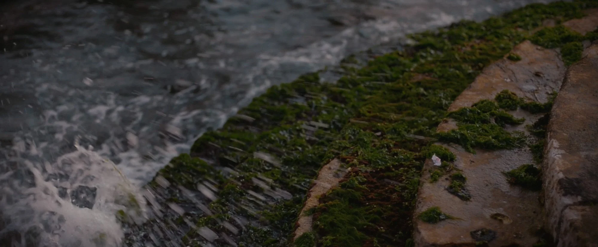 Close-up of a moss-covered brick or stone surface next to flowing water.