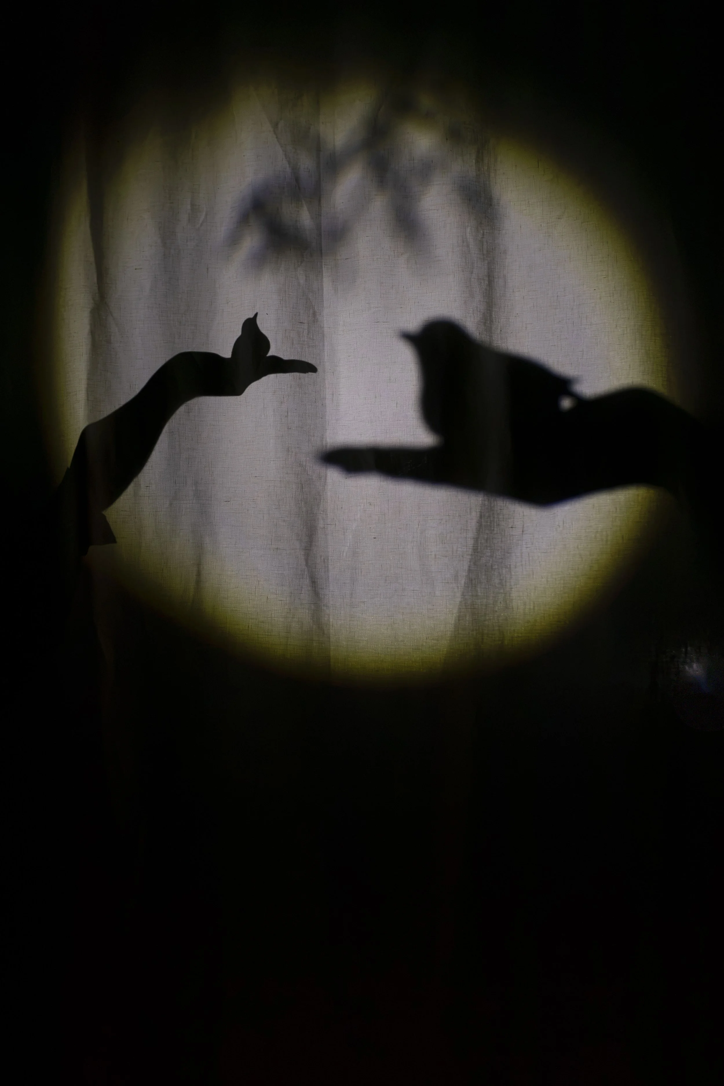 Image by Jemima Yong 5.jpg