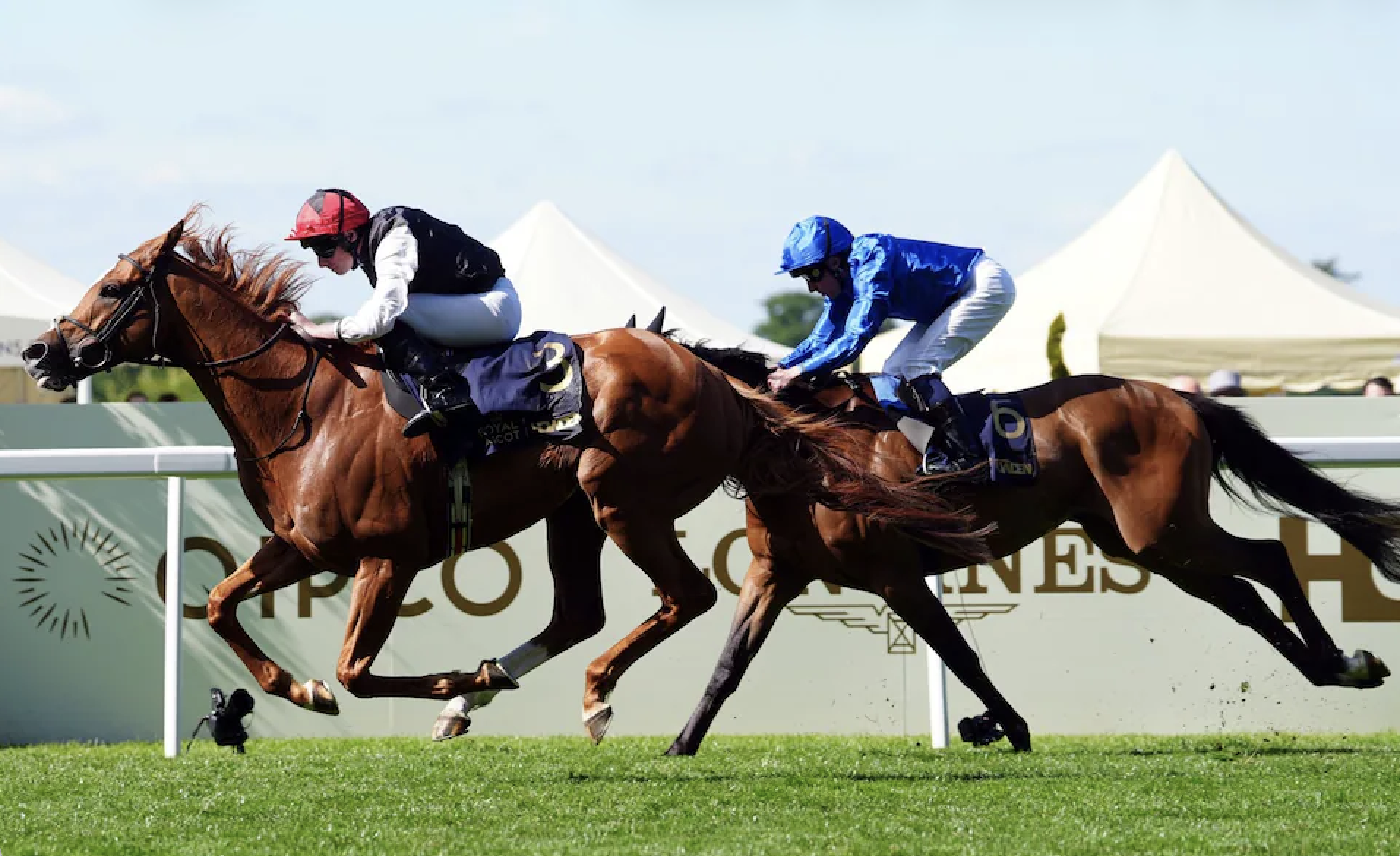 Two racehorses and jockeys compete in a horse race, with the horses galloping on a grass track and the jockeys leaning forward, wearing colorful silks.