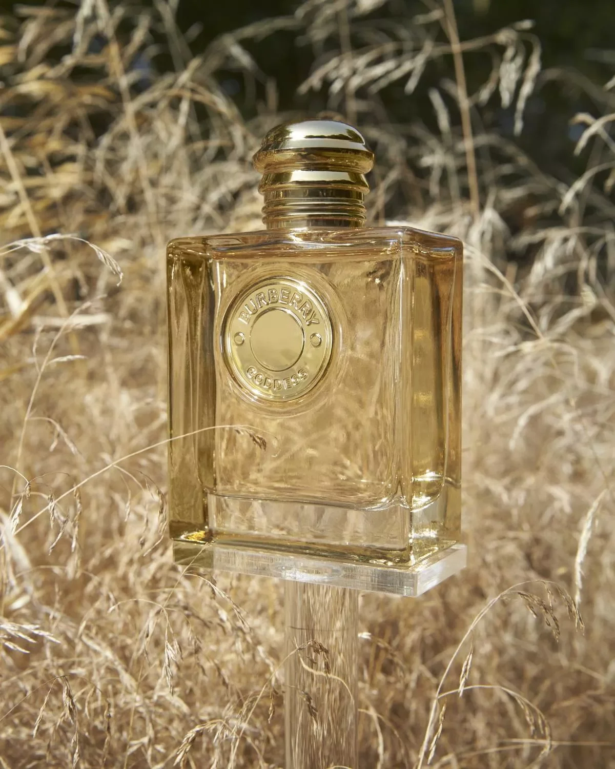 A square-shaped, transparent perfume bottle with a rounded cap, placed outdoors among dry, light brown grass and plants. The bottle has a round embossed logo that reads 'BURBERRY GODDESS'. sunlight reflects off the bottle.