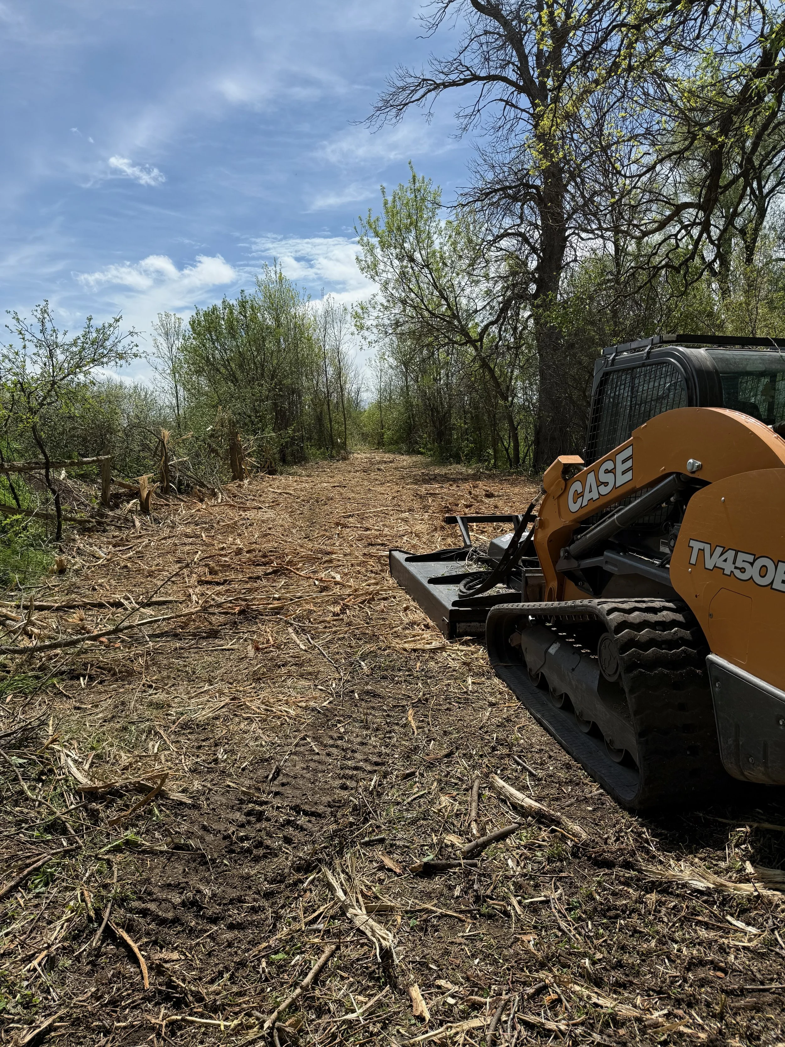 Land Clearing