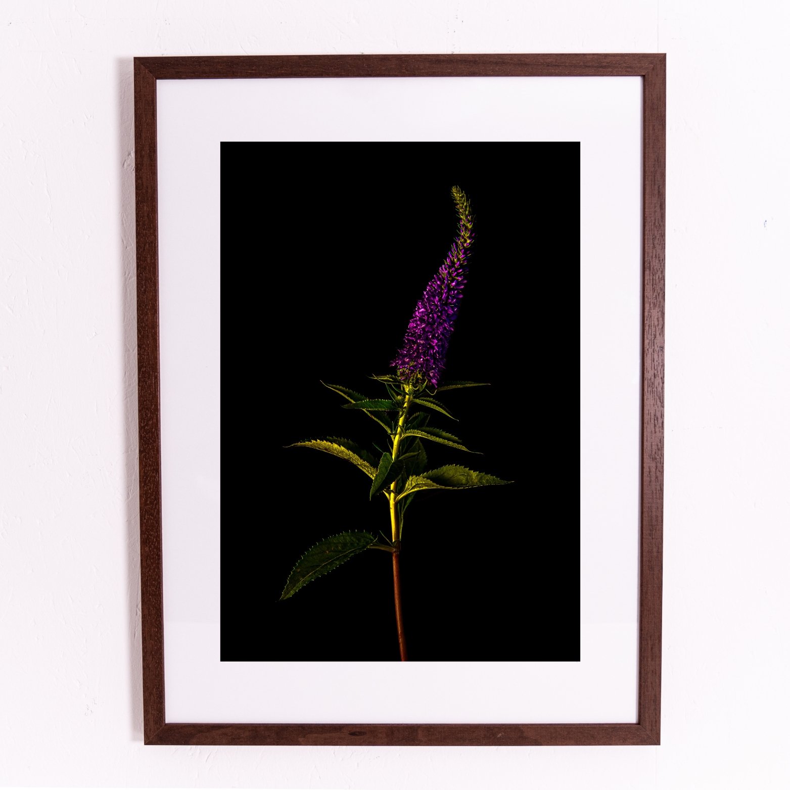 Miniature framed orints.jpg