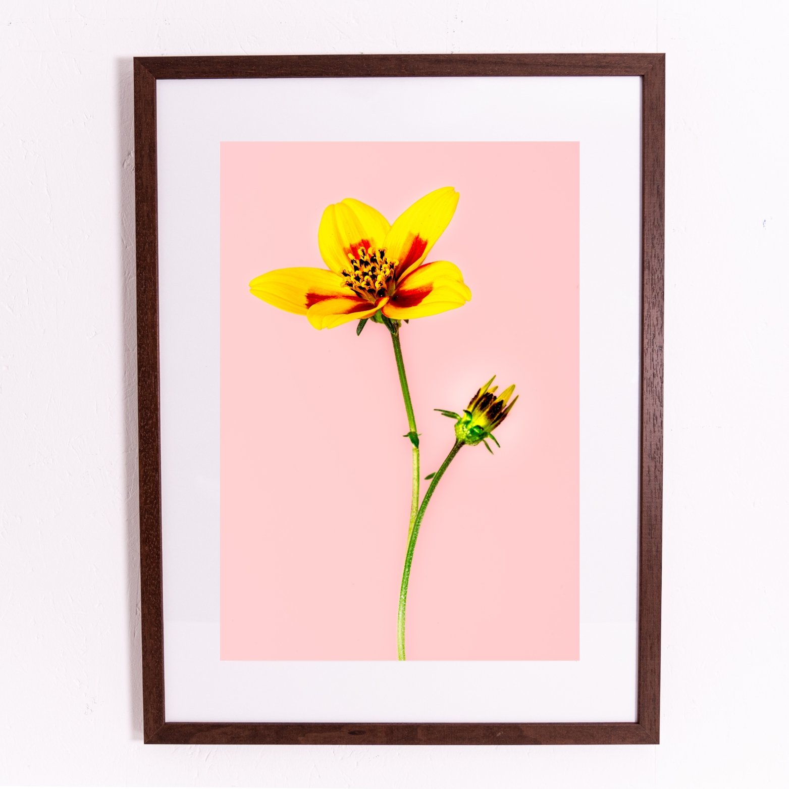 Miniature framed orints.jpg