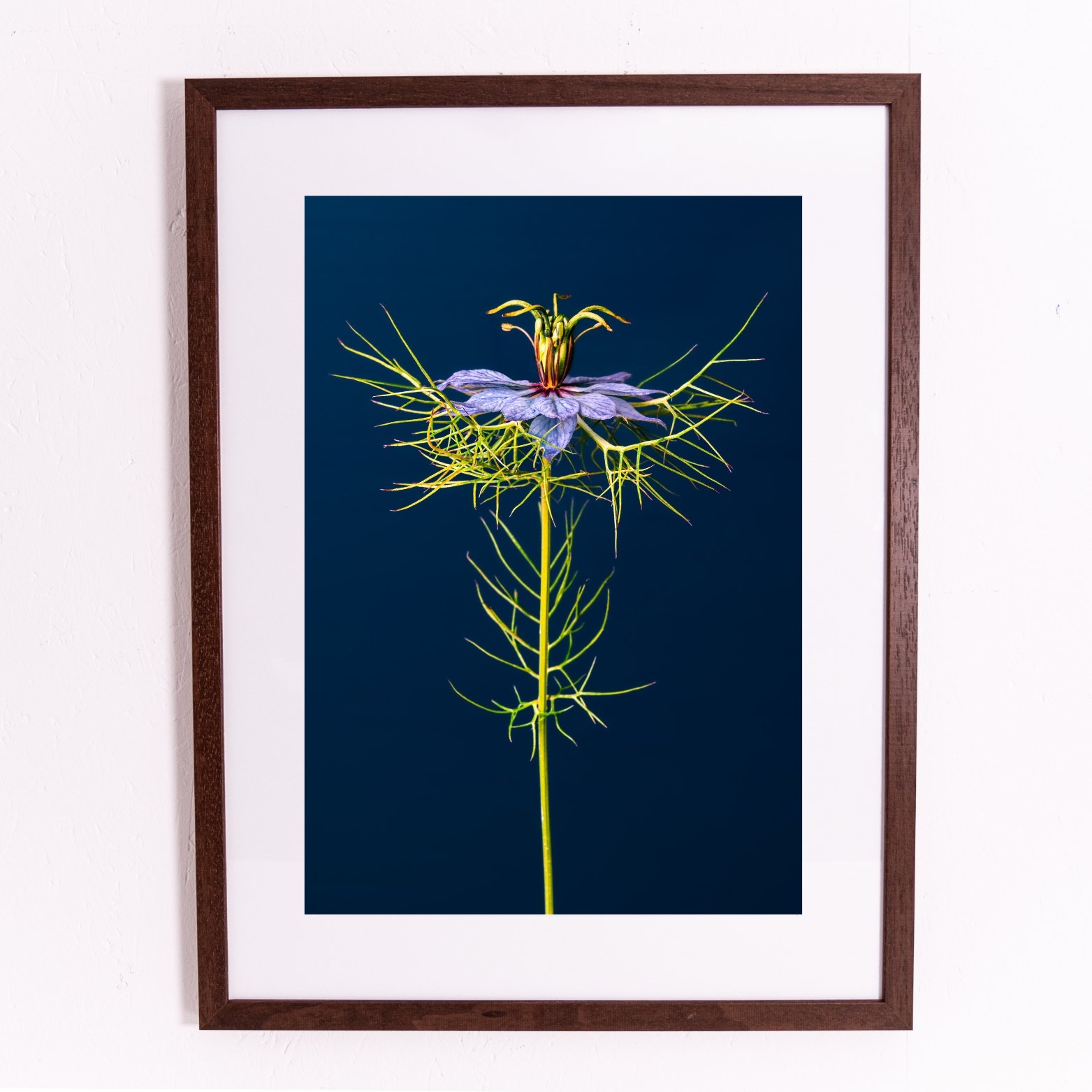 Miniature framed orints.jpg