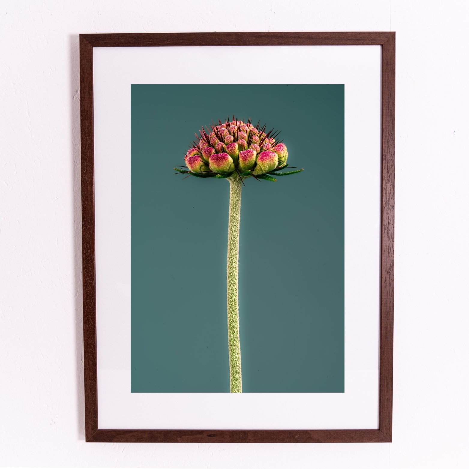 Miniature framed orints.jpg