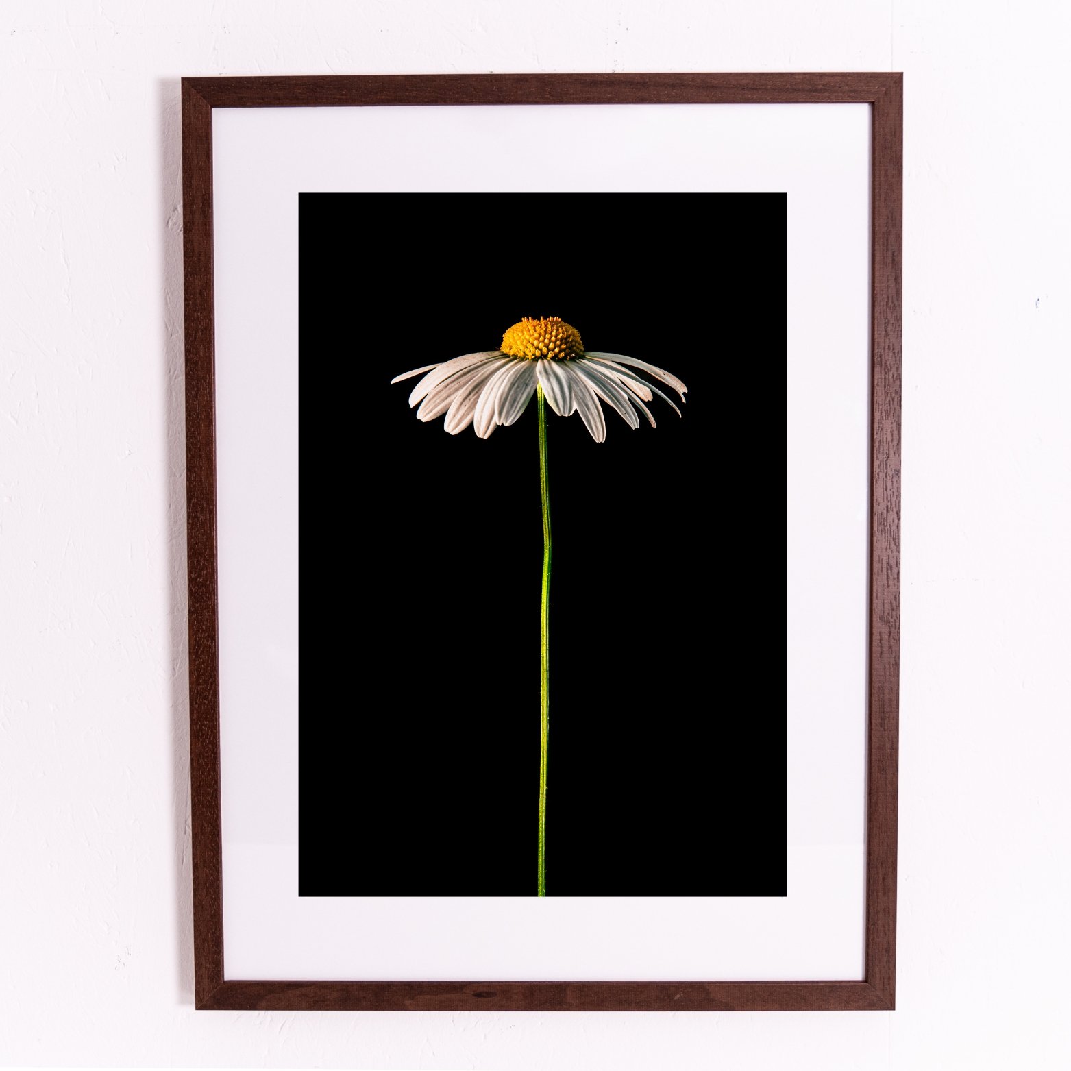 Miniature framed orints.jpg